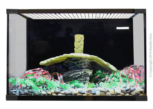 Reptile One Turtle Eco 90 Glass Tank 90X45X50Cm - The Chook Barn