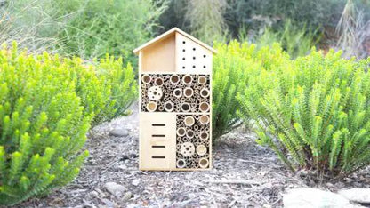 Topflite Bug, Bee & Butterfly House by Topflite LTD