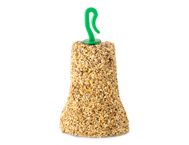 Seed Bells - The Chook Barn