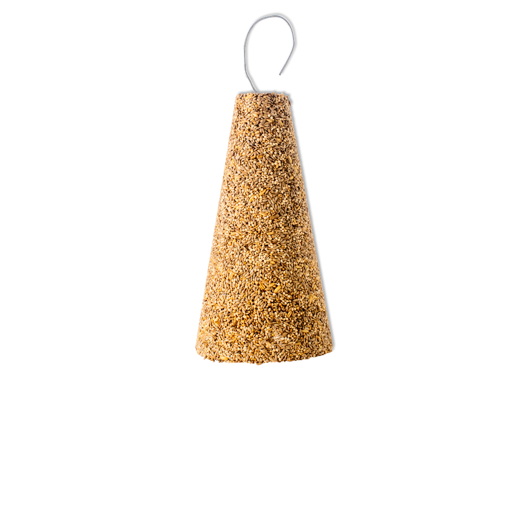 Seed Cones - The Chook Barn