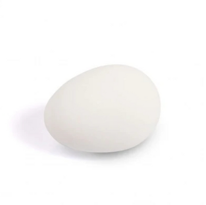 Solid Rubber Dummy Nest Egg - White - The Chook Barn