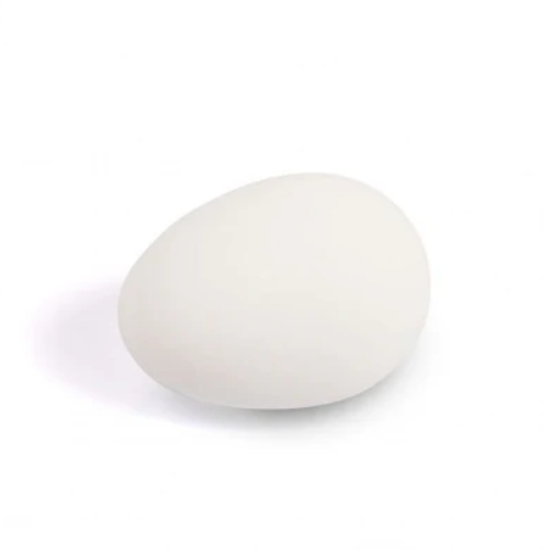 Solid Rubber Dummy Nest Egg - White - The Chook Barn