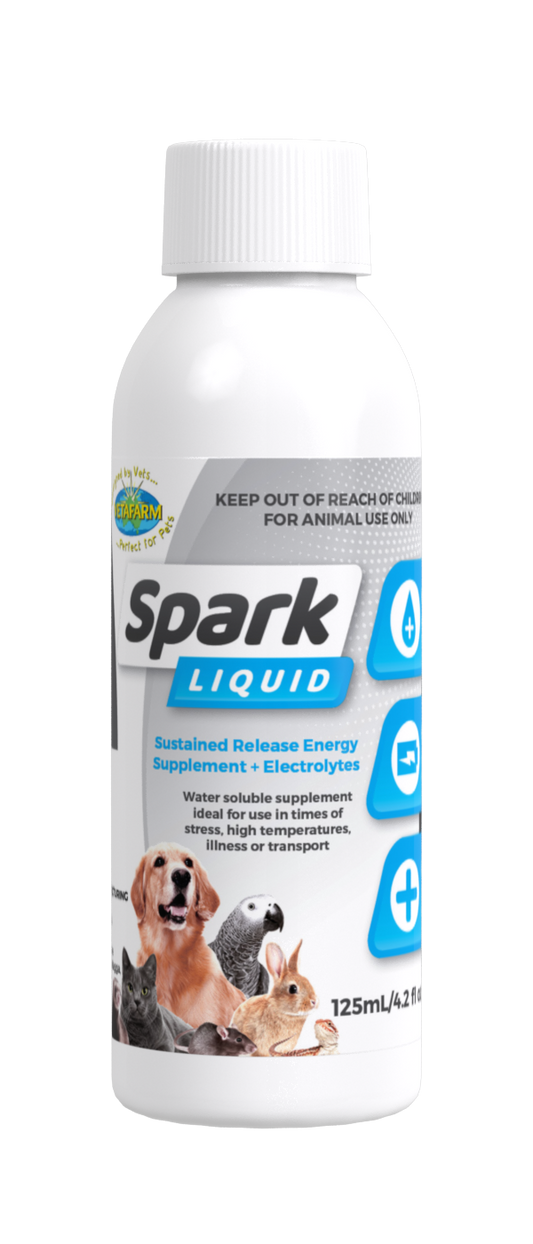 Topflite Spark Liquid Supplement for All Animals 125ml by Topflite LTD