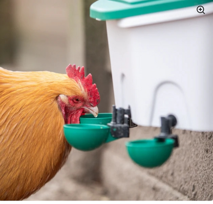 Swing Cup Drinker (with brass nut) - The Chook Barn