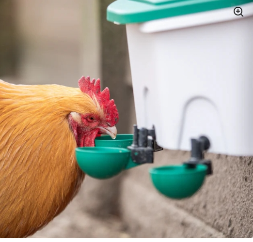 Swing Cup Drinker (with brass nut) - The Chook Barn