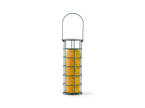 The Bok Bar Feeding Set - The Chook Barn