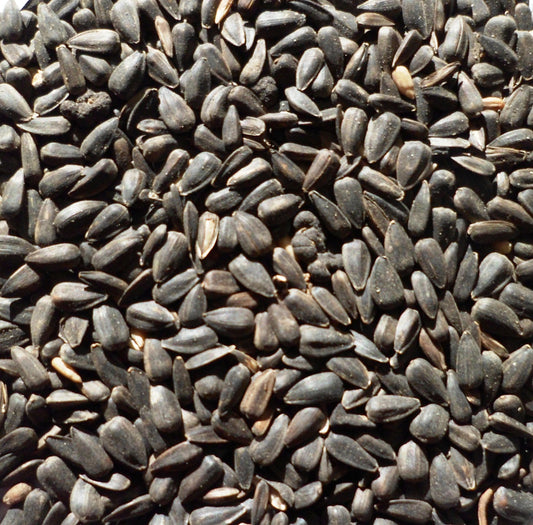 Topflite Black Sunflower Seed 20 KG - The Chook Barn