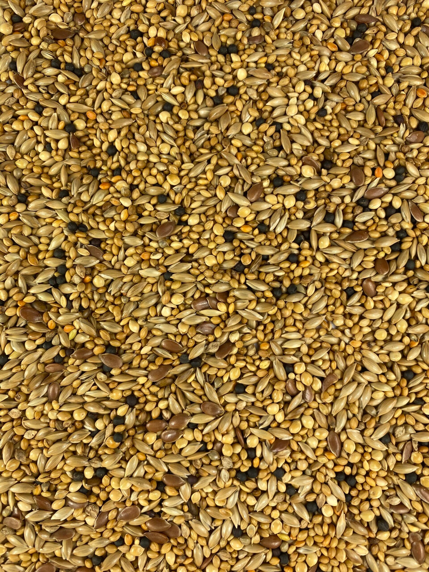 Topflite Finch Seed Mix - The Chook Barn