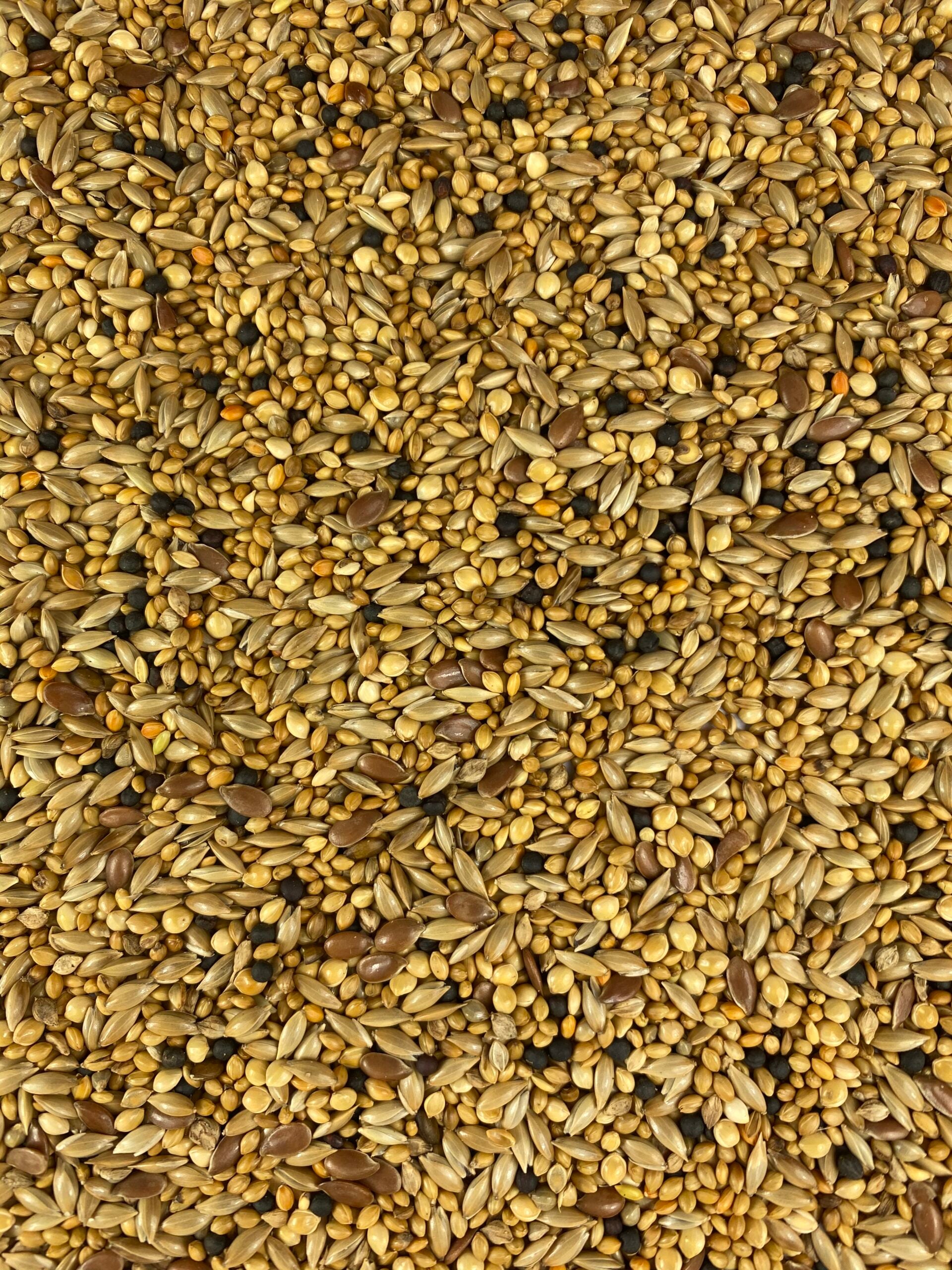 Topflite Finch Seed Mix - The Chook Barn