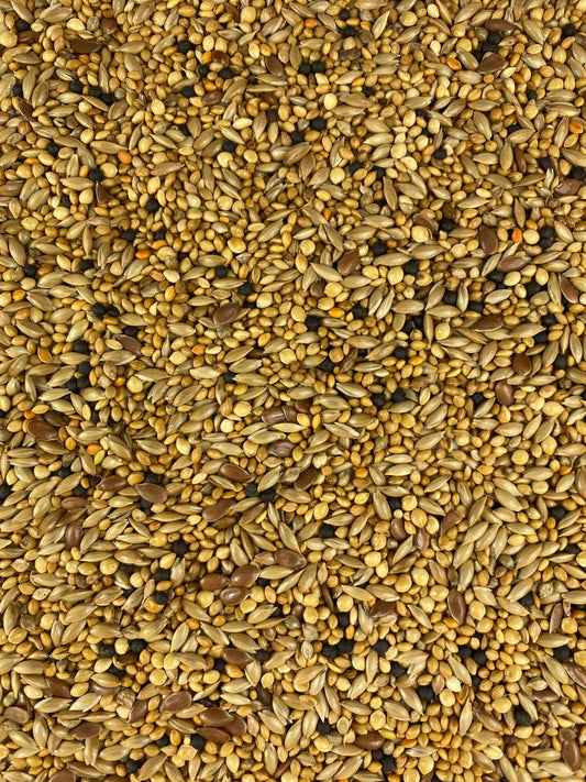 Topflite Finch Seed Mix - The Chook Barn