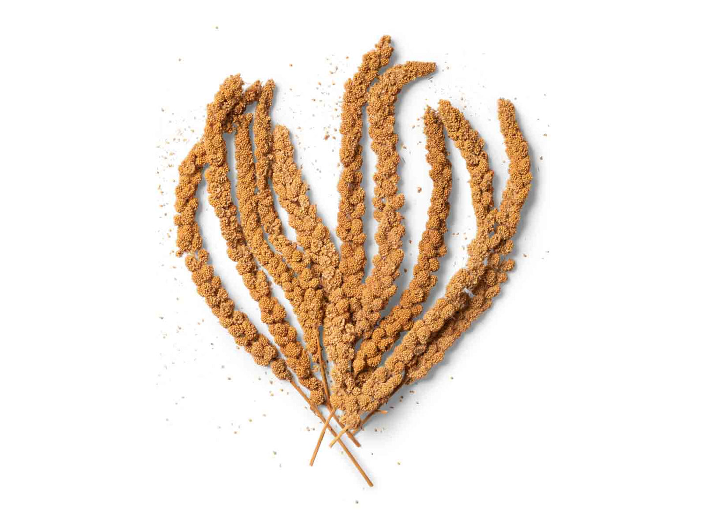 Topflite Millet Sprays - The Chook Barn