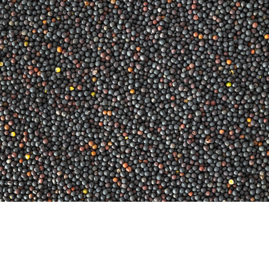 Topflite Oilseed Bird Rape 20 KG - The Chook Barn