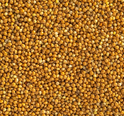 Topflite Panicum (Hungarian Millet) 20 KG - The Chook Barn