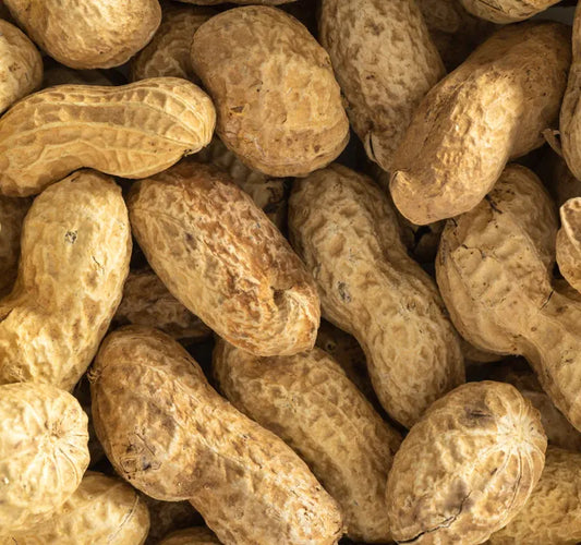 Topflite Peanuts in shell 10 KG - The Chook Barn