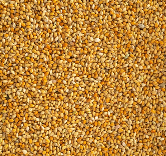 Topflite Red Panicum 20 KG - The Chook Barn
