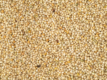 Topflite White French Millet 20 KG - The Chook Barn
