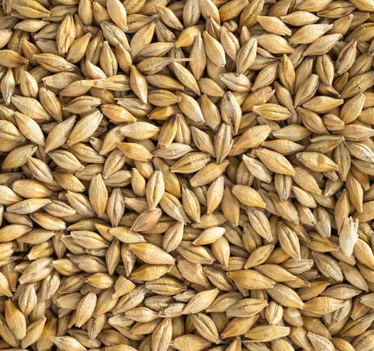 Topflite Barley 25 KG