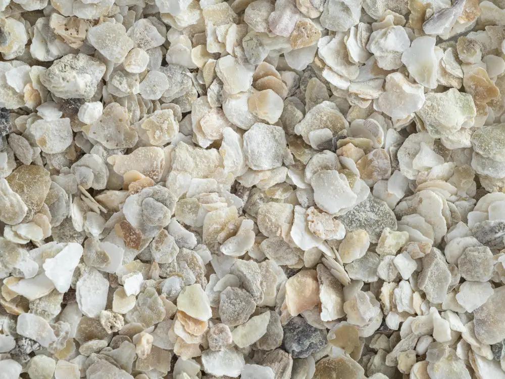 Topflite Oyster Shell Coarse Grit by Topflite LTD