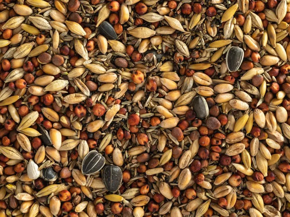 Topflite Wild Bird Seed Mix – Coarse by Topflite LTD