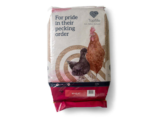 Wheat Chicken Feed 20 Kilograms High Energy Digestible Carbohydrates - The Chook Barn