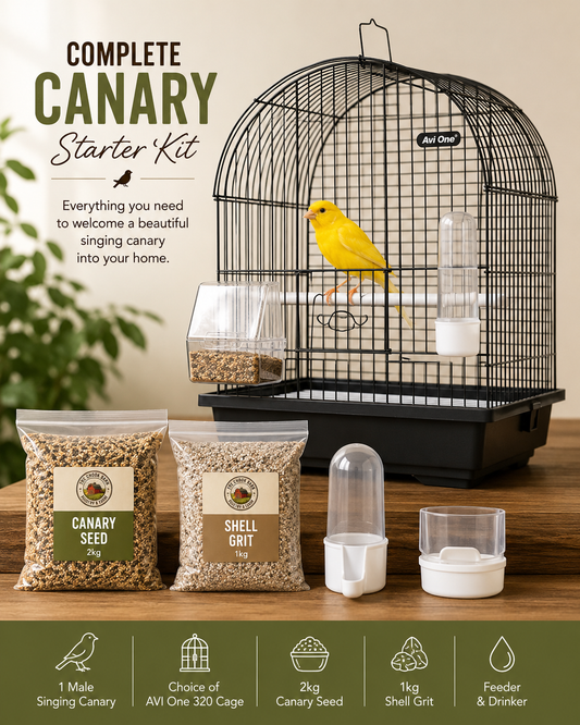 Complete Canary Starter Kit with Male Singing Canary and Cage