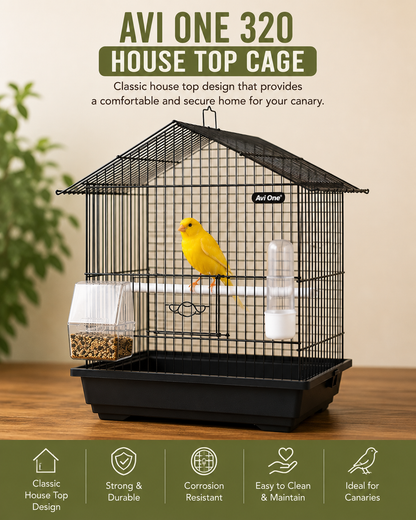 Complete Canary Starter Kit with Male Singing Canary and Cage