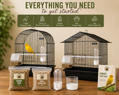 Complete Canary Starter Kit with Male Singing Canary and Cage