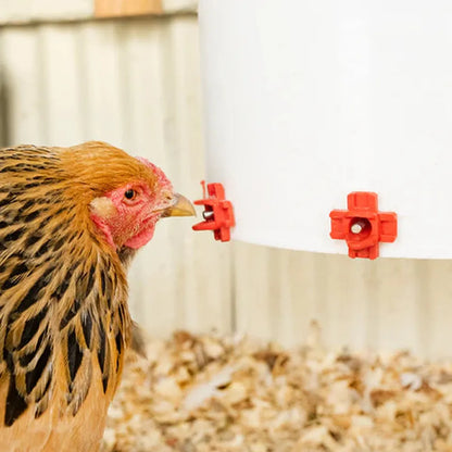 Chicken Nipple Drinker Horizontal Side Mount - The Chook Barn