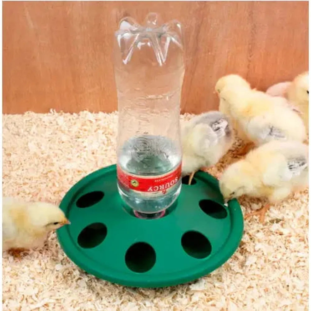 Chick Bottle Drinker 7 Hole - The Chook Barn