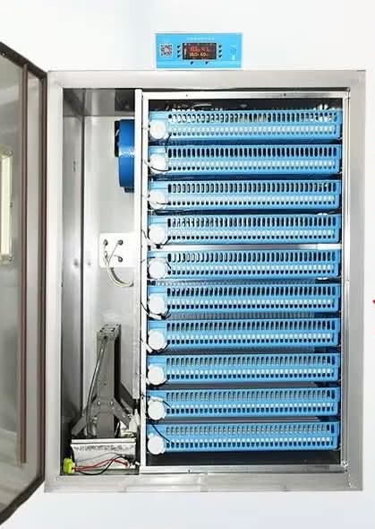 JAIJU Fully Automatic Egg Incubator 300 500 800 1000 Egg Capacity
