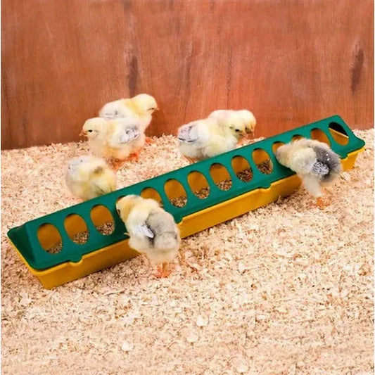 Chick Feeder Trough 500mm 28 Hole - The Chook Barn